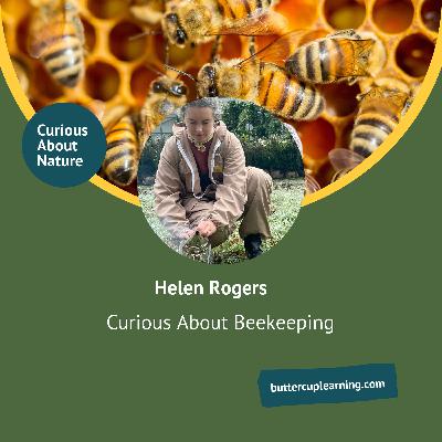 Curious About Beekeeping