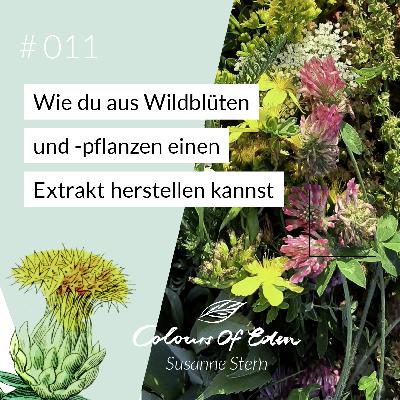 # 011 – Wie du einen Farbsud aus Wildblüten und -pflanzen herstellst