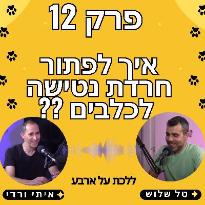 פרק 12 - איך לפתור חרדת נטישה של כלבים - פודקאסט ללכת על ארבע עם טל שלוש ואיתי ורדי אילוף כלבים פרק 12 - איך לפתור חרדת נטישה של כלבים - פודקאסט ללכת על ארבע עם טל שלוש ואיתי ורדי אילוף כלבים