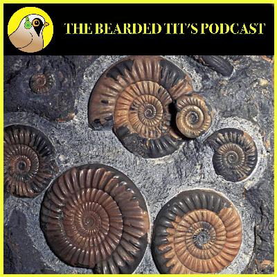 Hunting for Fossils ft Eli Wait #172