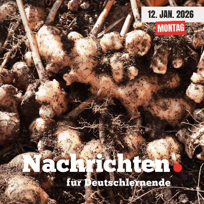 #250 Nachrichten für Deutschlernende vom 12. Januar 2026 | Nachrichten in Einfacher Sprache
