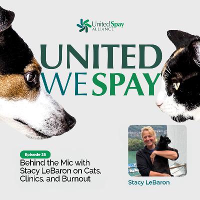 025: Behind the Mic with Stacy LeBaron on Cats, Clinics, and Burnout