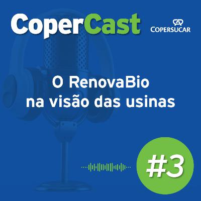 O RenovaBio na visão das usinas O RenovaBio na visão das usinas