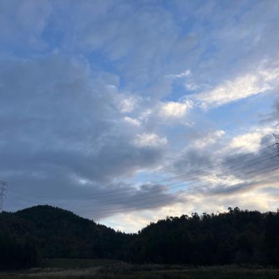 #49 これだから農業はやめられない話