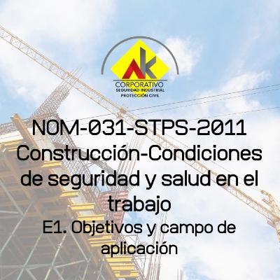 NOM-031-STPS-2011 NOM-031-STPS-2011