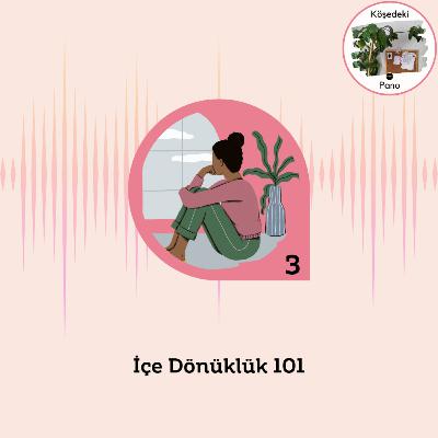 İçe Dönüklük 101