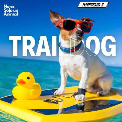 Trail dog, una actividad perfecta para hacer con tu mascota Trail dog, una actividad perfecta para hacer con tu mascota