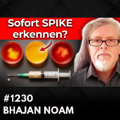 Spike Alarm: Wenn Dein Blut SO aussieht – bist Du INFIZIERT? | Bhajan Noam #1230