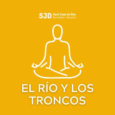 El río y los troncos - Meditaciones