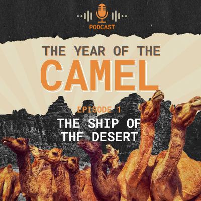 The Year Of The Camel | Episode 01 : The ship of the desert