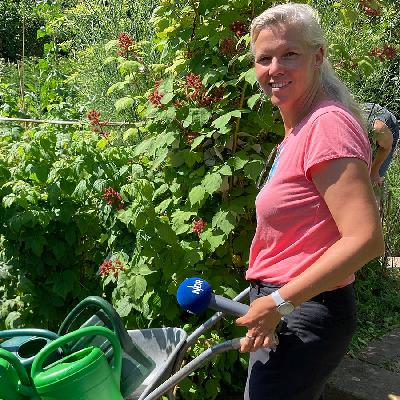 Gartenglück: Der Gemeinschaftsgarten in Ratzeburg Gartenglück: Der Gemeinschaftsgarten in Ratzeburg