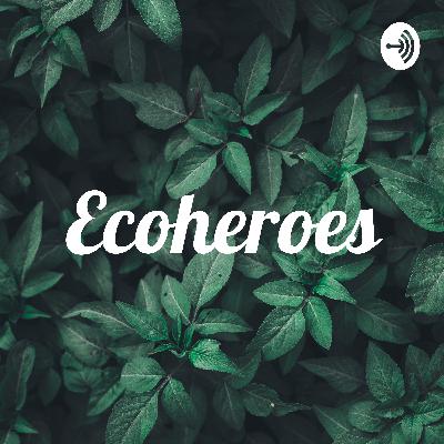Podcast Diseño y Sustentabilidad