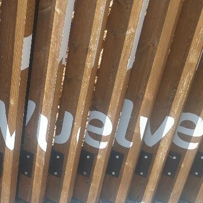 Escribano Palustre - Vuelve - 18/08/25