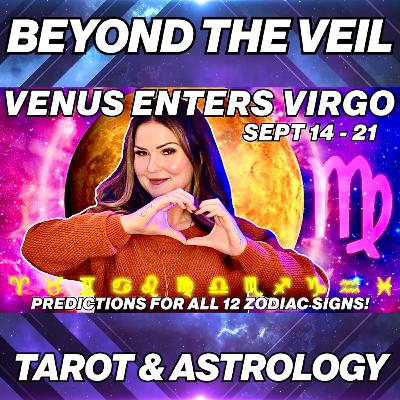 Venus in Virgo 2025 ✨ Love & Money Insights for All 12 Signs