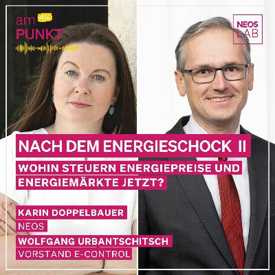 amPUNKT - Podcast mit Wolfgang Urbantschitsch, Karin Doppelbauer: Nach dem Energieschock II