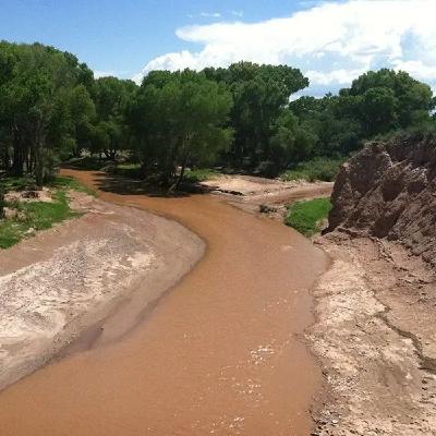 Ep. 553 - Soil Microbes & Desert Plant Restoration Ep. 553 - Soil Microbes & Desert Plant Restoration