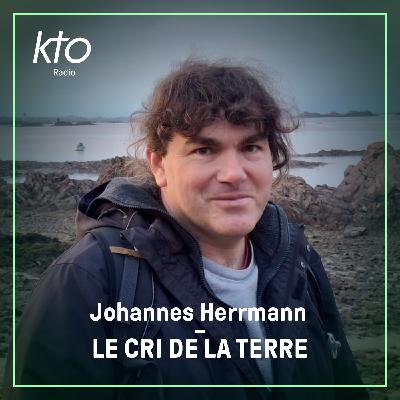 Johannes Herrmann : la réalité écologique des sapins de Noël