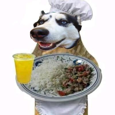 El mejor amigo del hombre