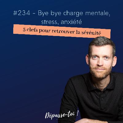 #234 - Bye bye charge mentale, stress, anxiété : 5 clefs pour retrouver la sérénité #234 - Bye bye charge mentale, stress, anxiété : 5 clefs pour retrouver la sérénité