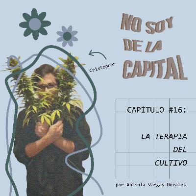 CAPÍTULO 16: LA TERAPIA DEL CULTIVO - con Cris