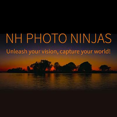 Guarding Your Visual Treasures: Why In-Camera SD Card Formatting is Non-Negotiable