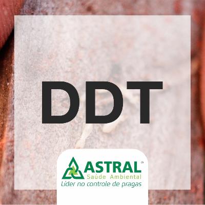 DDT - Dicas do Técnico | Importância do controle de pragas em residências