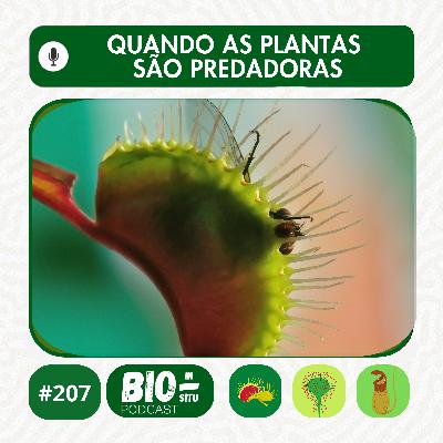 207 - Quando as plantas são predadoras 207 - Quando as plantas são predadoras