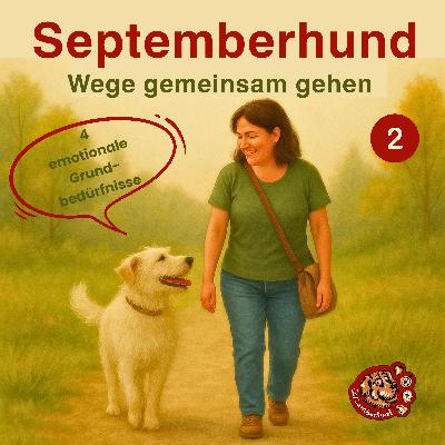 2 Was dein Hund wirklich braucht. Die vier emotionalen Grundbedürfnisse im Alltag