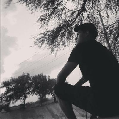 2020_.          ABNER