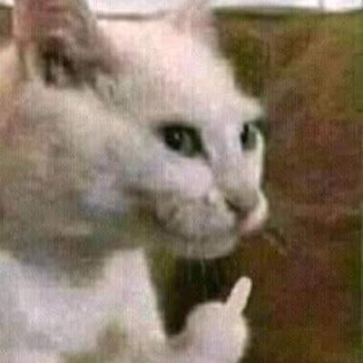 knowledge and creativity