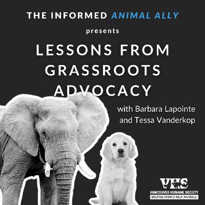 Lessons from grassroots animal advocacy