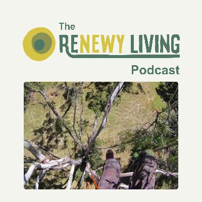 36. Is There Such a Thing as an Ethical Tree Arborist? with Sam Hardingham from Everyday Arbor
