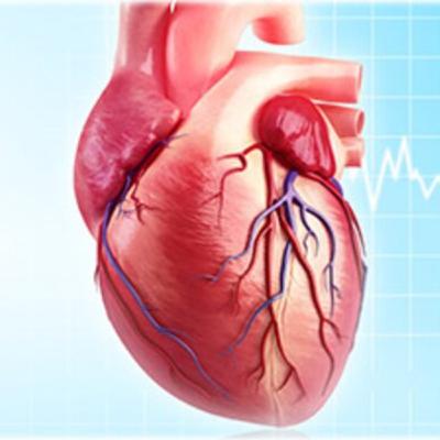 Week 3- Cardiovascular Disease