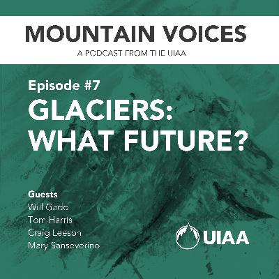 Glaciers: What Future?