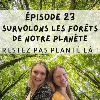 Survolons les forêts de notre planète Survolons les forêts de notre planète