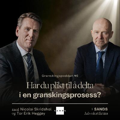 #6 Har du plikt til å delta i en granskingsprosess?