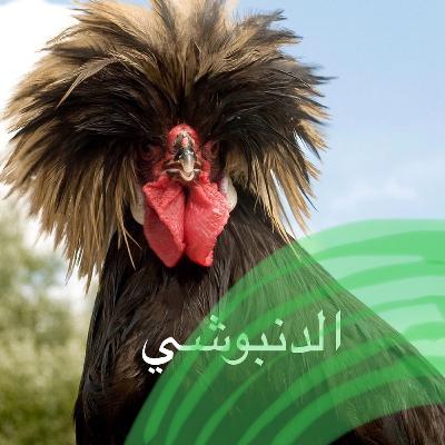 الدنبوشي