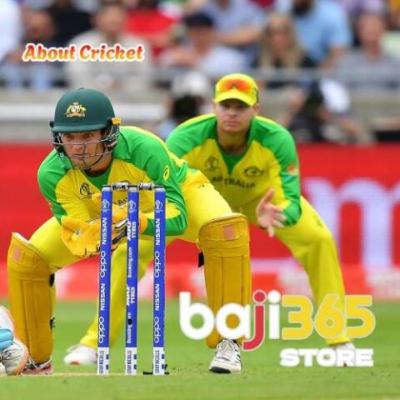 Cricket: Your Gateway to Cricket Betting Excellence Cricket: Your Gateway to Cricket Betting Excellence