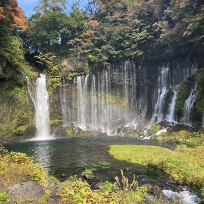 016 【お久しぶり】言霊、再開します! 016 【お久しぶり】言霊、再開します!