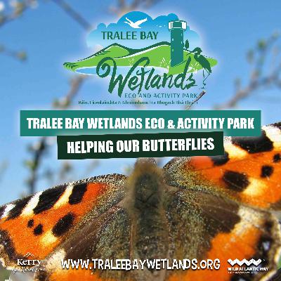 Helping Our Butterflies Helping Our Butterflies