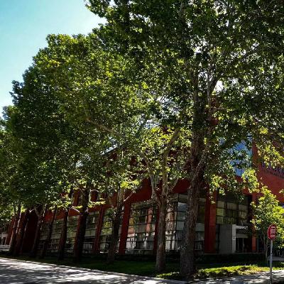 【今日漫谈8】想做就去做吧！只有迈出第一步，才有接下来的每一步