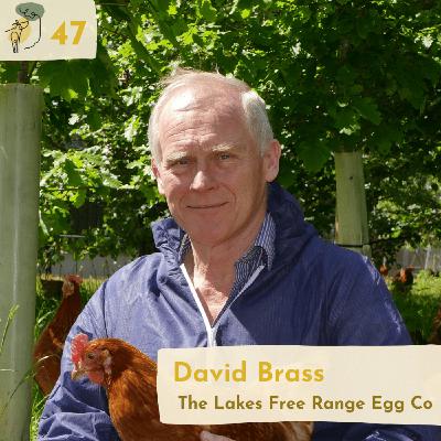 #47 The synergies of trees and poultry and adopting silvo-poultry at scale with David Brass