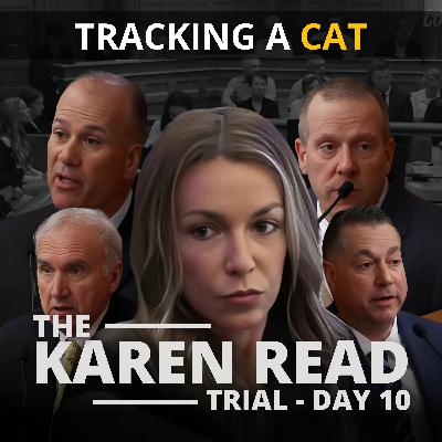 Karen Read reTrial - Day 10 - Tracking a Cat