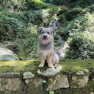 #11 二老师带你逛 B 站・像谈论一场电影一样谈论摄影（其二）