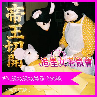 #5_鼠吱鼠吱最多冷知識🧊