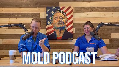 Mold Podcast - HIW