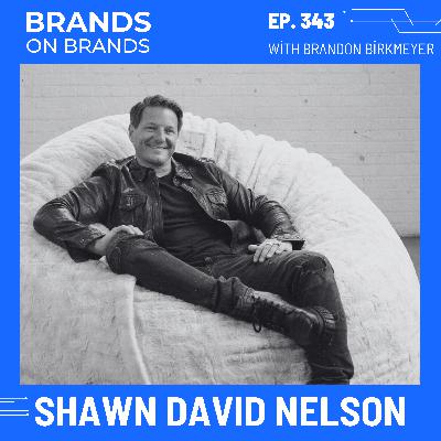 How Shawn Nelson Built Lovesac Into a Public Company (Founder Branding Lessons)