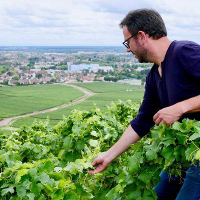 Burgundy: David Croix of Domaine des Croix