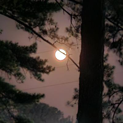 God's Great Big Things 6-23-24