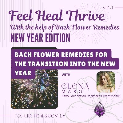 Bach Flower Remedies for the Transition into The New Year